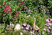 AQUILEGIA COLUMBINE IN COTTAGE GARDEN