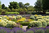 HERB GARDEN IN JULY