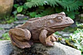 FROG SCULPTURE IN GARDEN