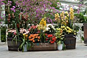 FLORAL DISPLAYFLOWER PARK KAGOSHIMA,  JAPAN