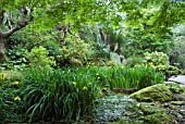 SENGANEN GARDEN ,  ALSO CALLED ISO GARDEN,  KAGOSHIMA,  JAPAN,  APRIL