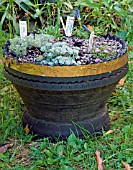 TYRE PLANTER WITH COPPER SLUG RING