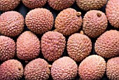 LITCHI CHINENSIS,  LYCHEE