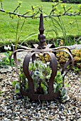 CROWN SCULPTURE WITH PULSATILLA  SHEPHERD HOUSE, INVERESK, SCOTLAND  OWNER, SIR CHARLES AND LADY ANN FRASER