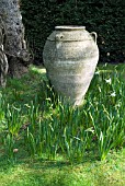 LARGE GARDEN VASE AT SHEPHERD HOUSE, INVERESK, SCOTLAND. OWNERS, SIR CHARLES AND LADY FRASER