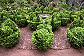 PEAHENS AND EGG CUPS; LADIES GARDEN; PALHEIRO GARDENS ALSO CALLEDBLANDYS GARDEN; MADEIRA