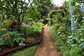 FLOWER BORDERS,PALHEIRO GARDENS ALSO CALLED BLANDYS GARDEN; MADEIRA