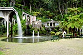 WATERFALL, MONTE PALACE TROPICAL GARDEN; MADEIRA