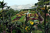 BOTANICAL GARDEN, FUNCHAL, MADEIRA