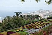 BOTANICAL GARDEN, MADEIRA