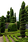 TOPIARY AT THE BOTANICAL GARDENS, FUNCHAL, MADEIRA