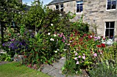 GARDEN IN AUGUST