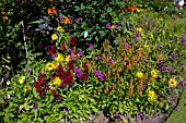 LATE SUMMER GARDEN BORDER, AUGUST, INWOOD GARDEN, SCOTLAND