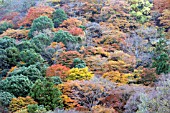 ARASHIYAMA, KYOTO, JAPAN,