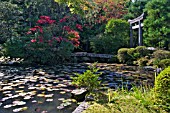 KONCHI IN TEMPLE GARDEN, POND GARDEN, KYOTO, JAPAN