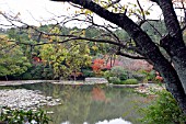 RYOANJI TEMPLE GARDEN, KYOYOCHI POND, KYOTO, JAPAN