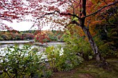 RYOANJI GARDEN, BOATING POND, KYOTO, JAPAN