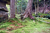 SANZEN IN GARDEN; WARABE JIZO FIGURES, OHARA; KYOTO; JAPAN