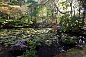 TENJYUAN GARDEN, SOUTHERN GARDEN, POND, KYOTO JAPAN