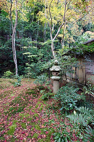 GIOJI_TEMPLE_BUDDHIST_TEMPLE_GARDEN_KYOTO_JAPAN