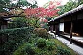 KOTOIN GARDEN. KYOTO, JAPAN