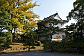 NIJO CASTLE GARDEN,  KYOTO, JAPAN