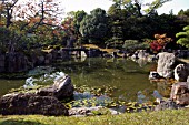 NIJO CASTLE GARDEN,  KYOTO, JAPAN