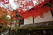 NISONIN TEMPLE GARDEN, KYOTO, JAPAN