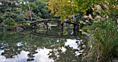 SHOSEI EN GARDEN, KIKOKU TEI. GARDEN OF HIGASHI HOGAN JI BUDDHIST TEMPLE. KYOTO, JAPAN