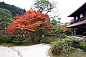 GINKAKU JI TEMPLE GARDEN