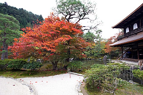 GINKAKU_JI_TEMPLE_GARDEN