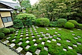 TOFUKUJI TEMPLE GARDEN