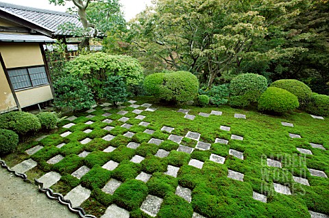 TOFUKUJI_TEMPLE_GARDEN