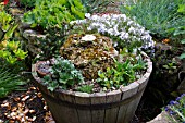 WOODEN BARREL PLANTER