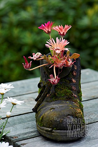 FLOWERS_IN_BOOT