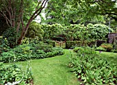 RED GATE AND HEDGE