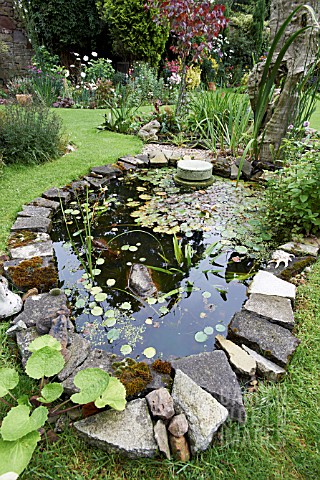 POND_AND_PLANTING