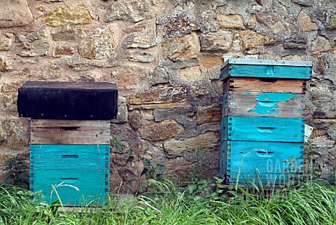 BEE_HIVES