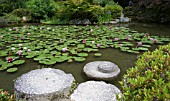 HEIAN SHRINE GARDEN