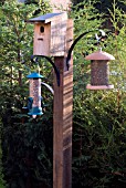 BIRD BOX AND FEEDERS