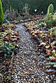 GARDEN PATH IN NOVEMBER