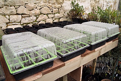 COVERED_PROPAGATORS_ON_GREENHOUSE_BENCH