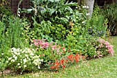 GARDEN BORDER IN JUNE