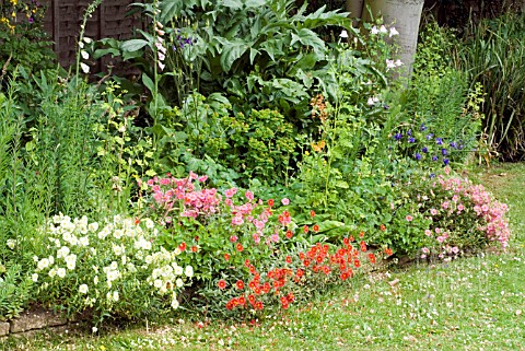 GARDEN_BORDER_IN_JUNE