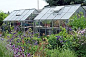 GREENHOUSES IN JUNE