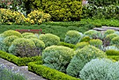 HERB GARDEN IN JUNE