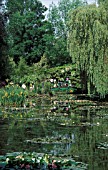 WATERLILIES IN MONETS GARDEN GIVERNY FRANCE