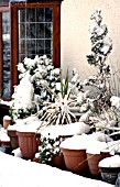 SNOW ON CONTAINERS