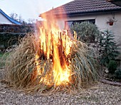 BURNING PAMPAS GRASS