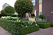 GARDEN STORY LIA WALLENBURG - FRONT GARDEN OVERVIEW